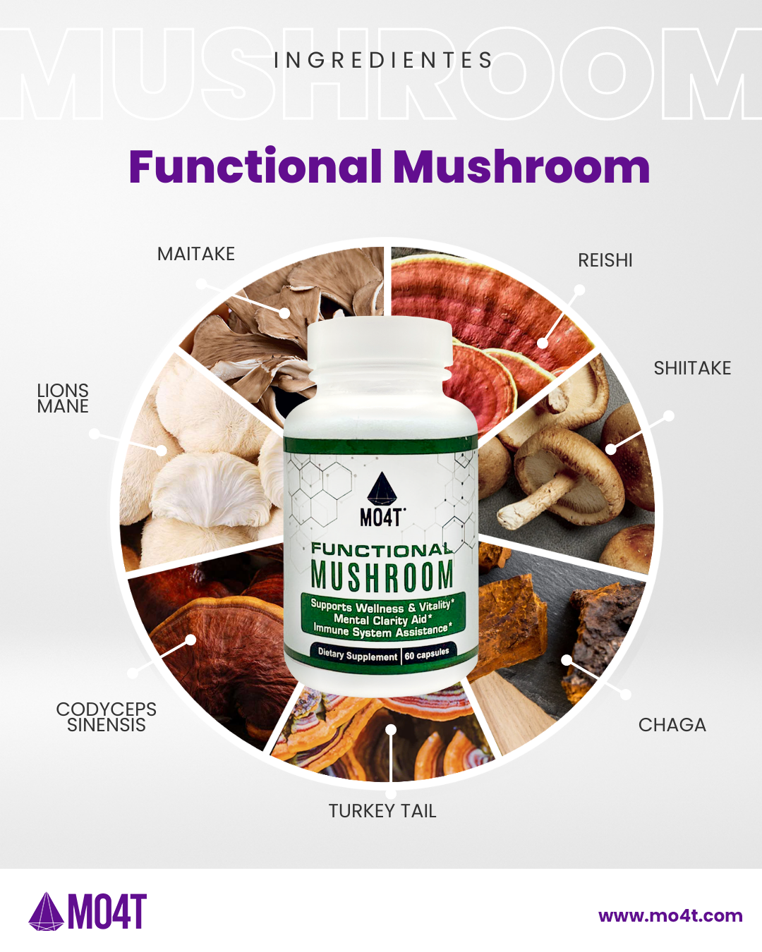 FUNCTIONAL MUSHROOM - Enfoque y claridad mental